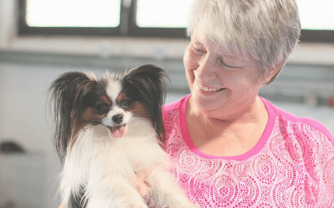 Mit einem ungewöhnlichen Thema online gehen – Interview mit Claudia Hußmann und ihrer Online-Hundeschule