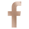 Facebook Button