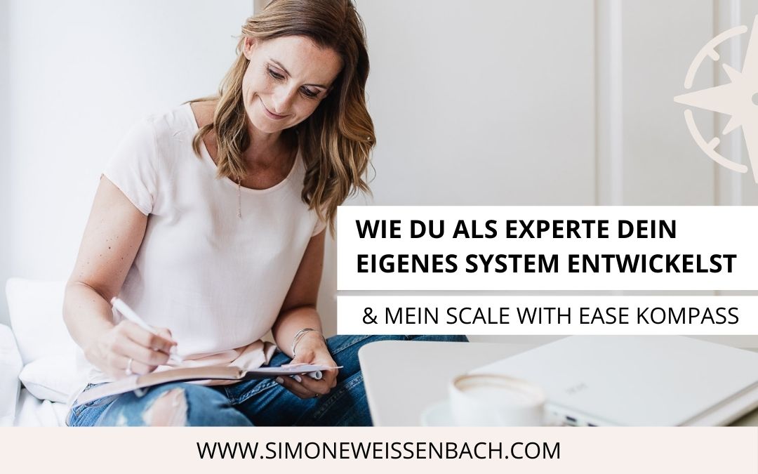 Eigenes System als Experte