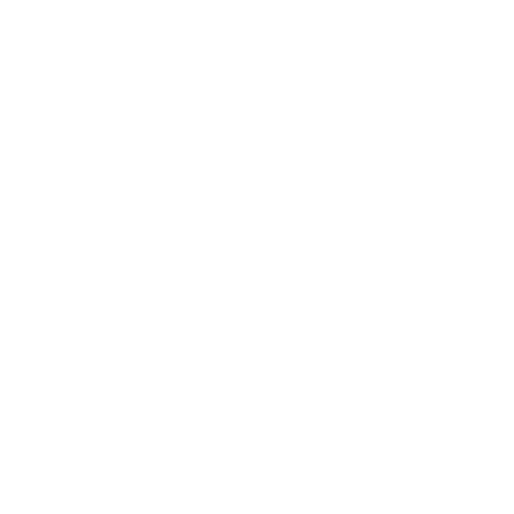 SW RGB_illustration_boat_white